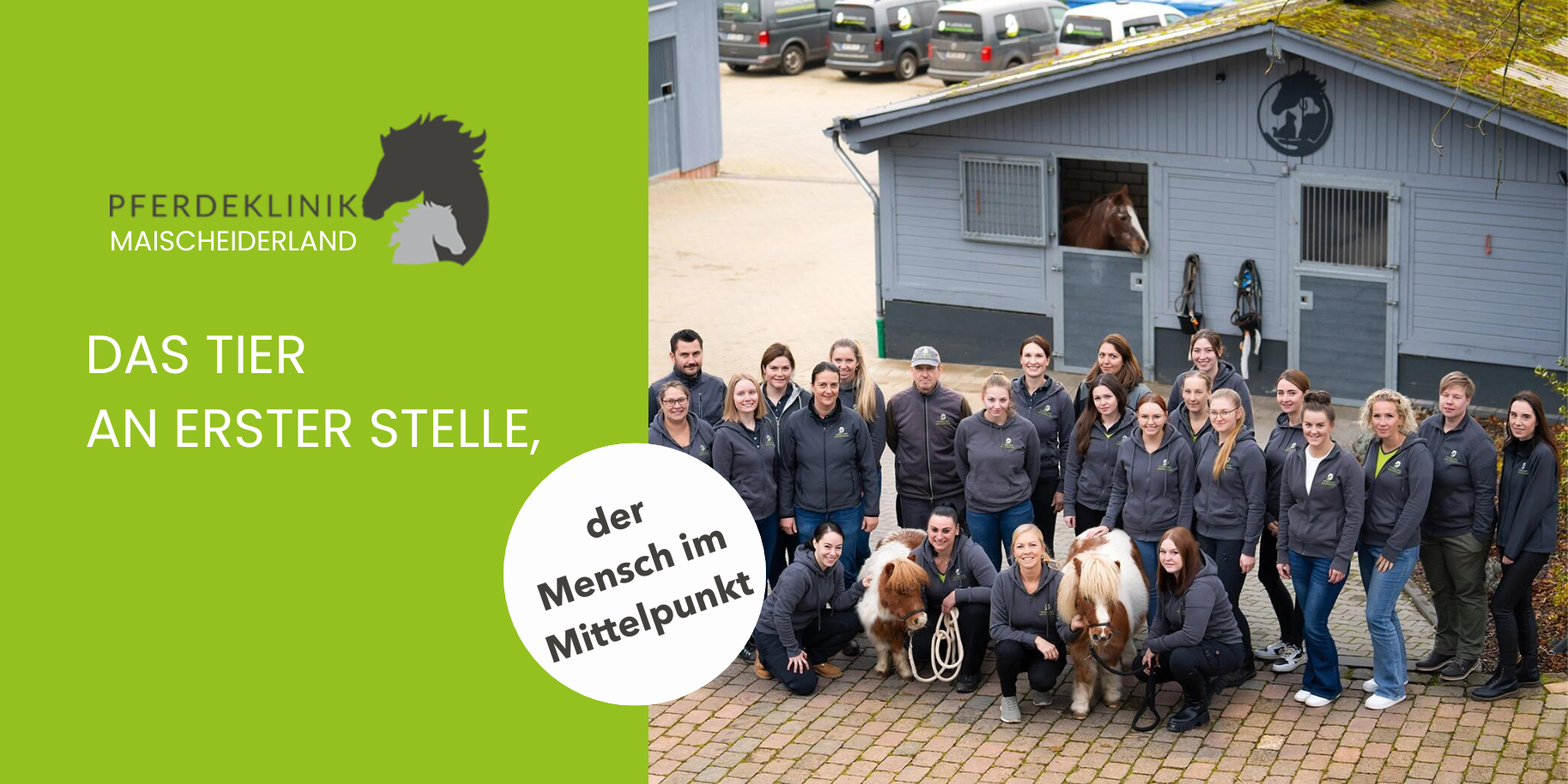 Teaserbild Tierklinik Maischeiderland GmbH